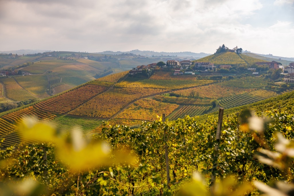 Herbstliche Weinberge der Langhe mit Blick auf ein Hügeldorf